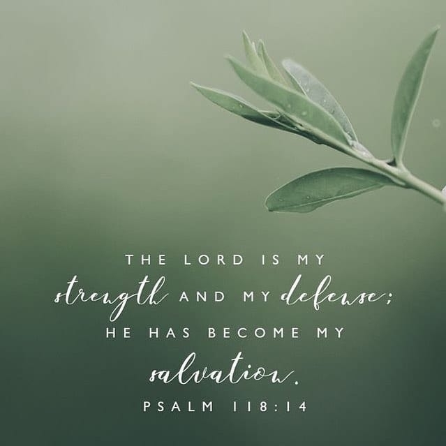 Psalms