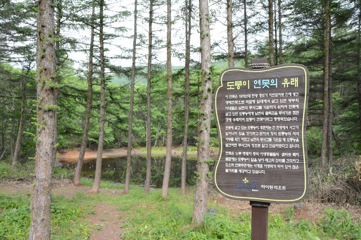 풍경이미지