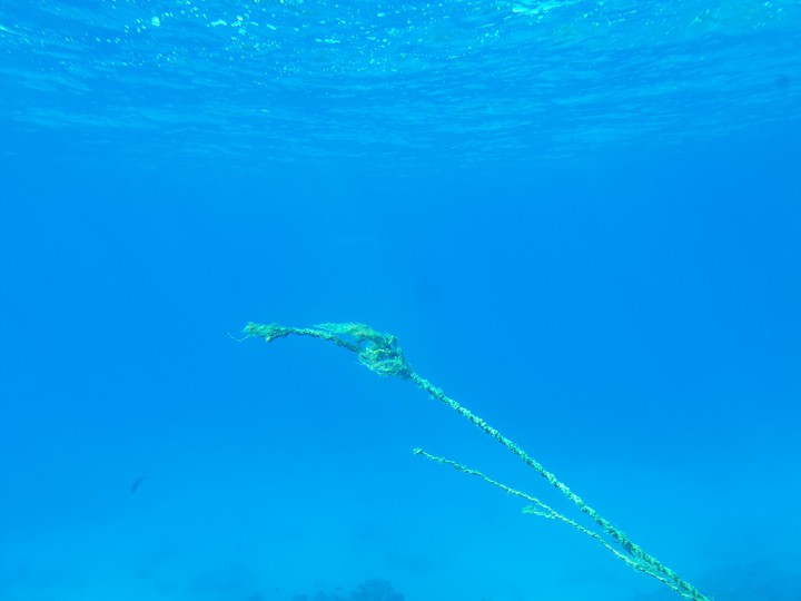 Red sea