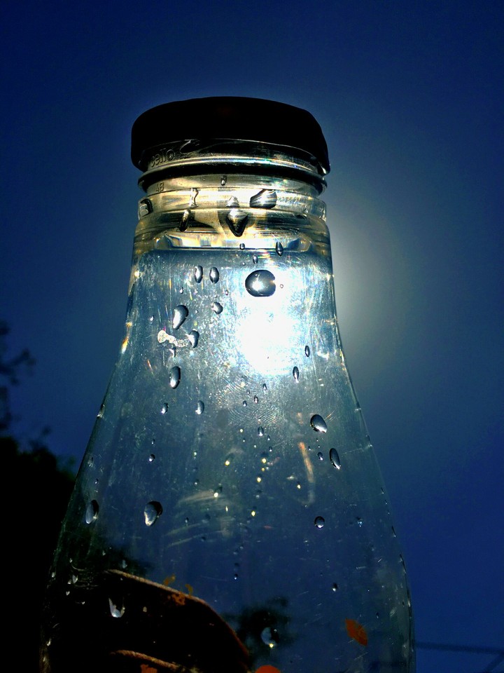 Bottle