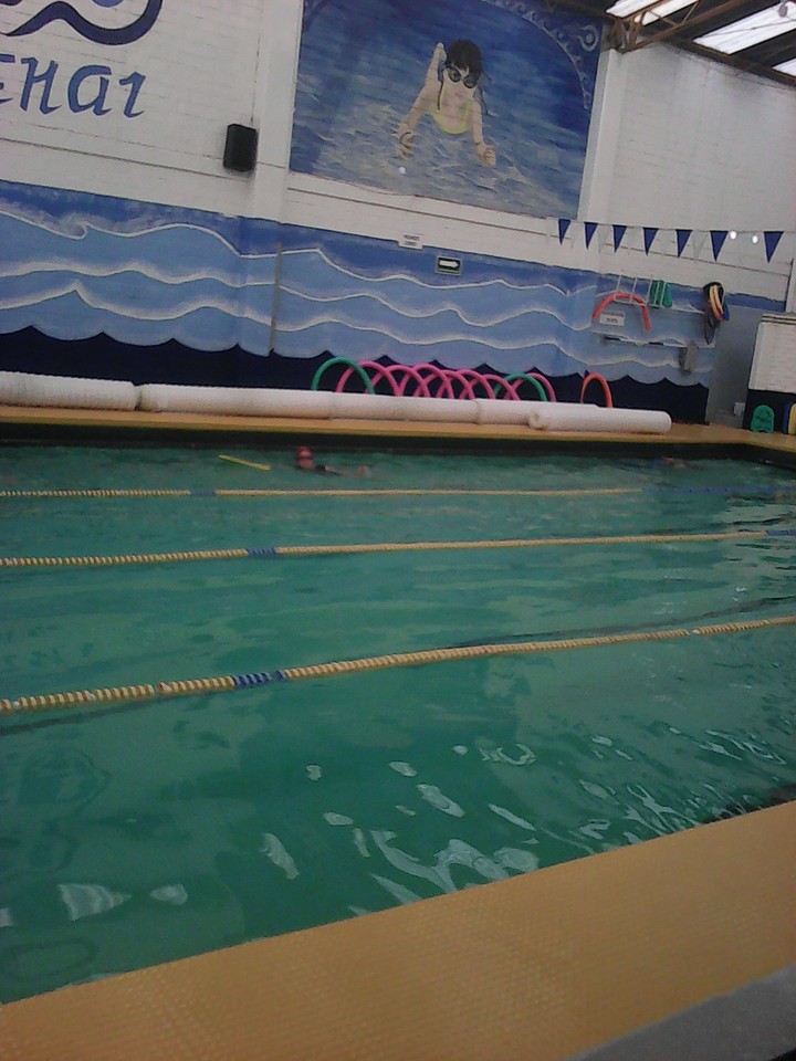 mi primera escuela de natación
