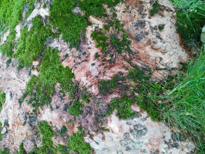 Cool Texture