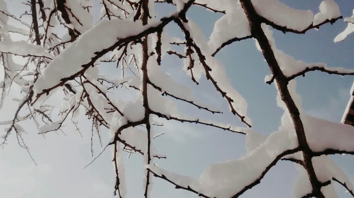 Winter days