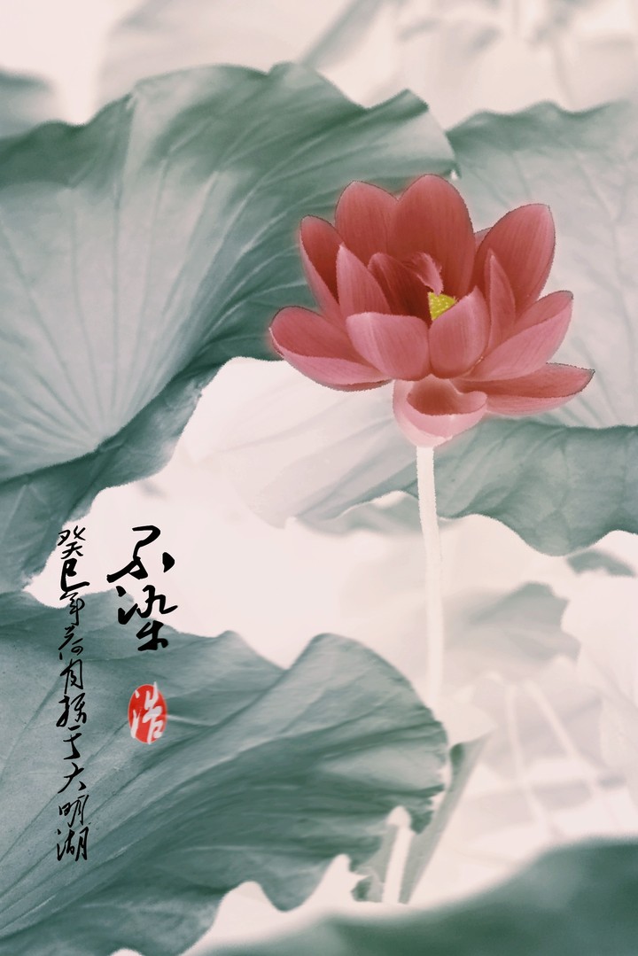 不染