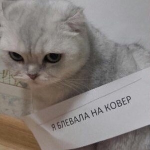 н
