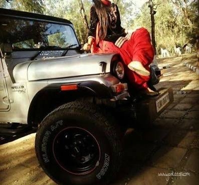 thar fans