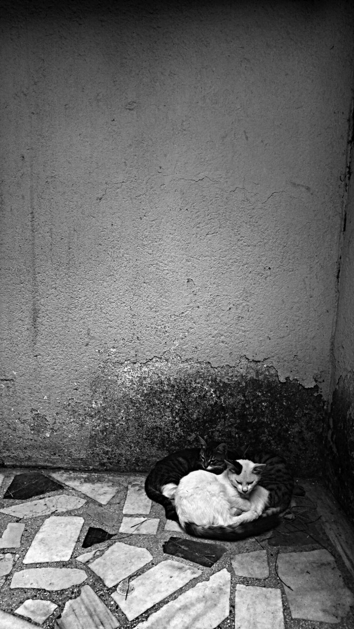 black&white