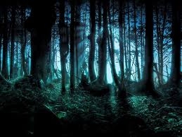 mystery of nature