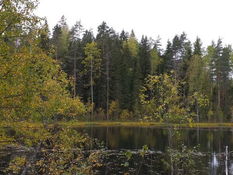 Карелия