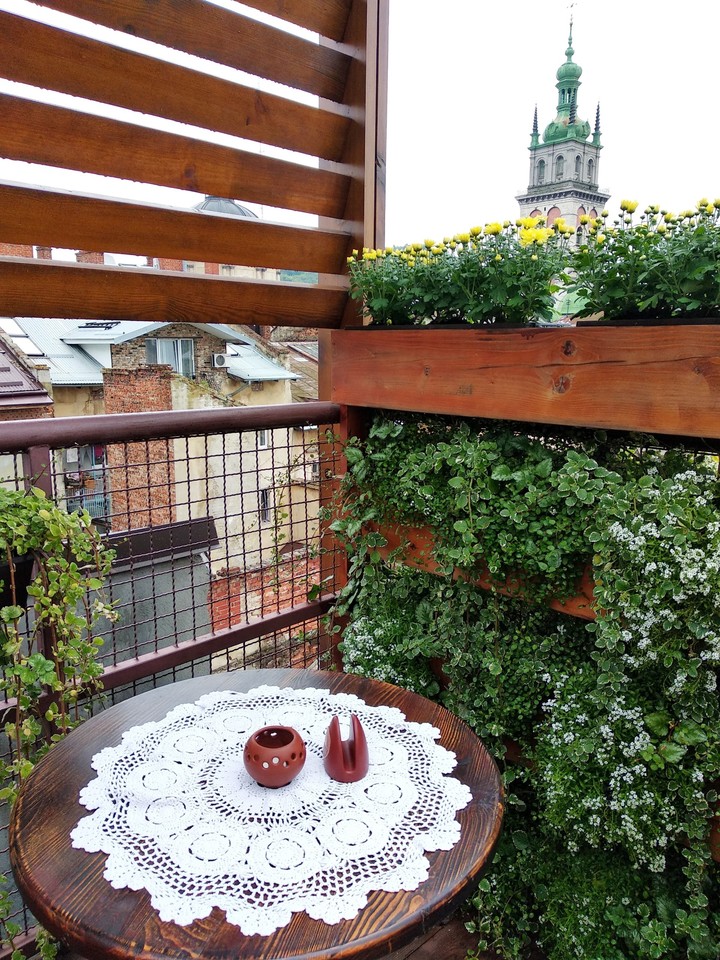 Roofs in Lviv
