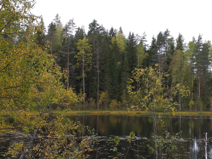 Карелия