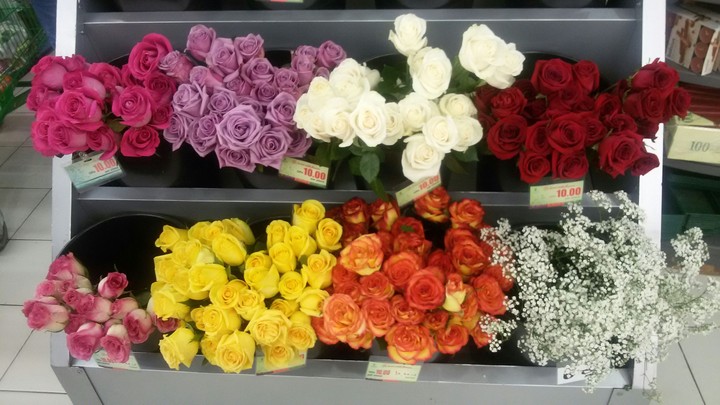 ♡BEAUTIFUL FLOWERS♡