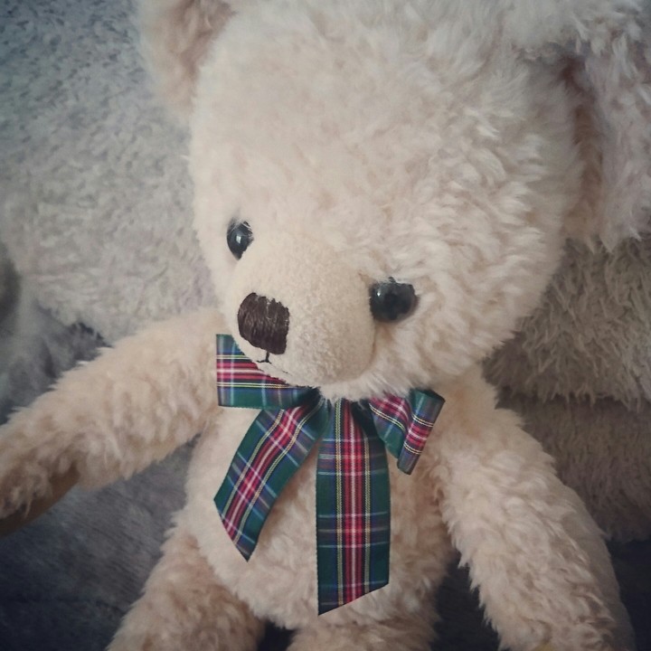 bear