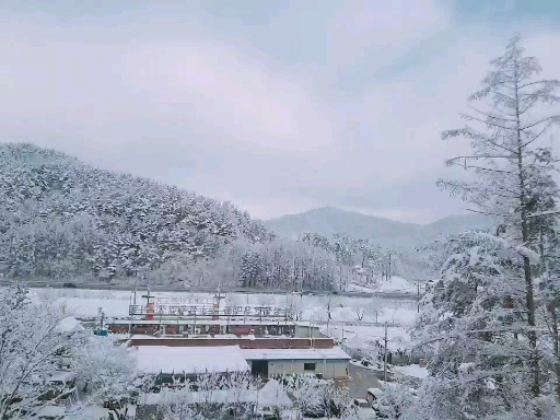 frozen