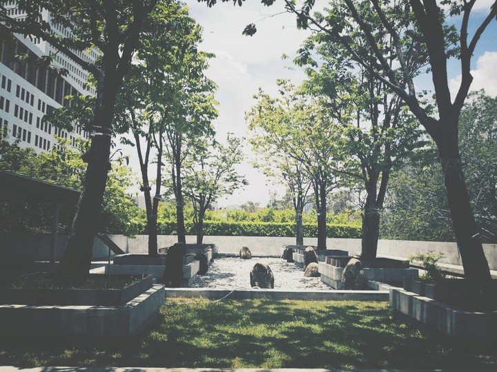 peaceful