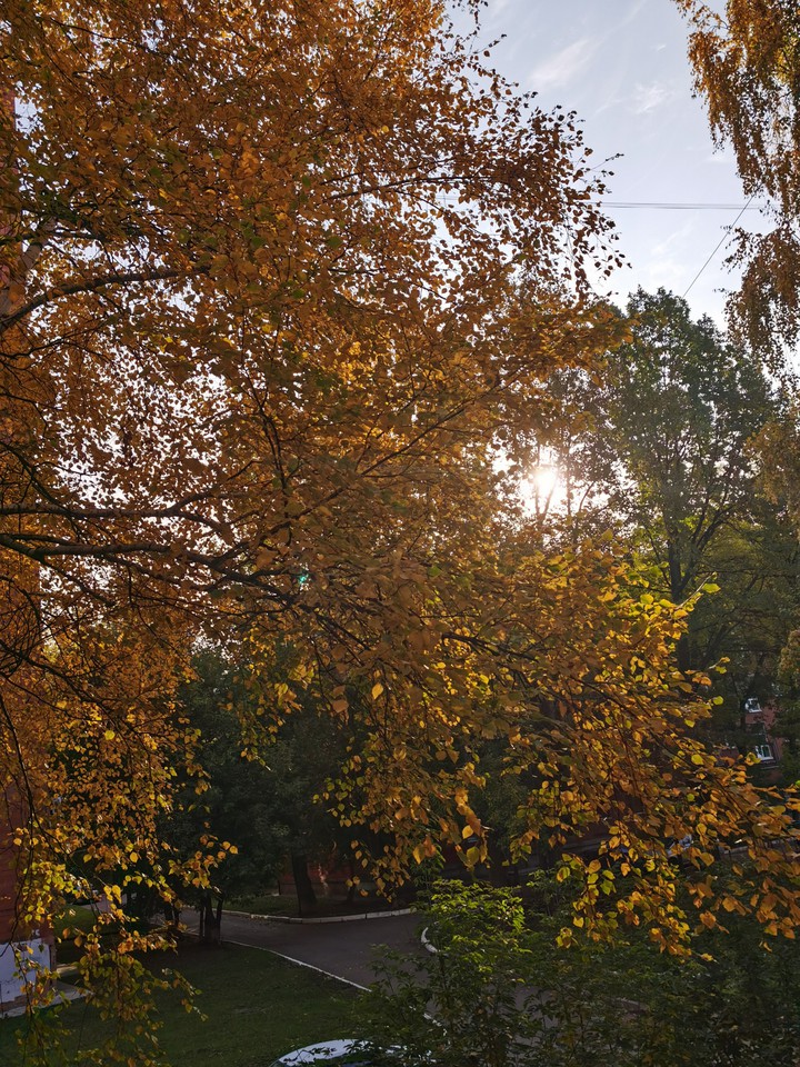 осень