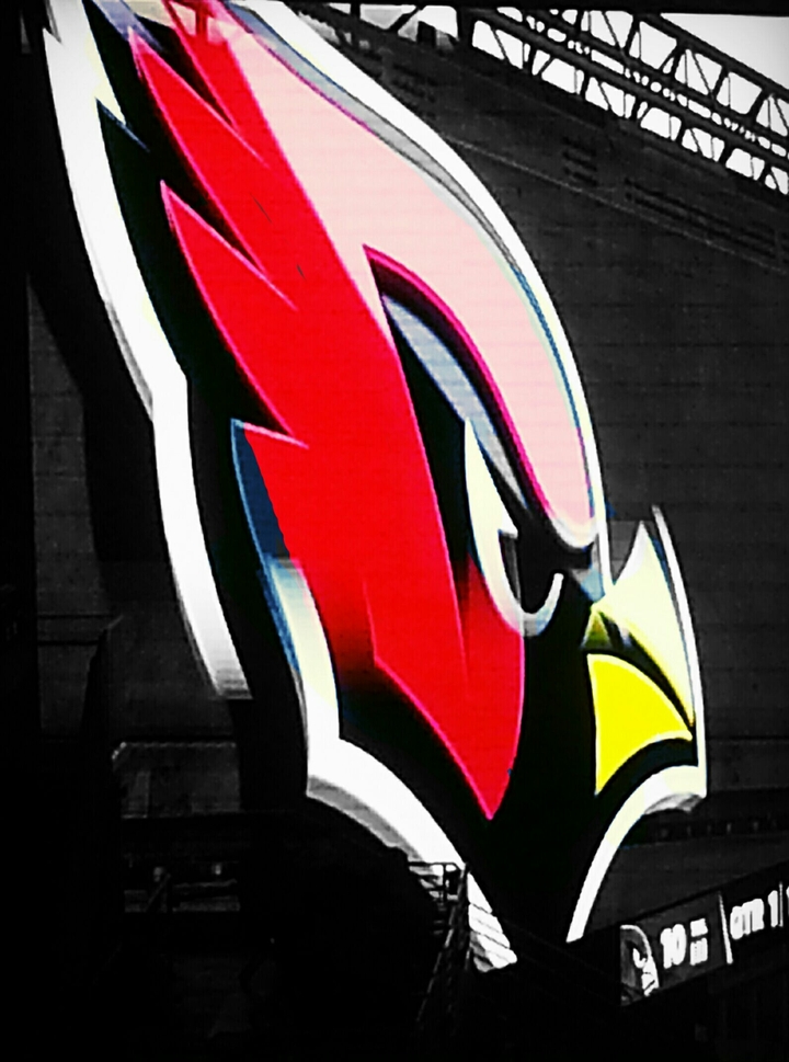 Cardinals