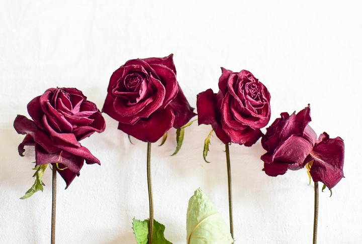 Розы