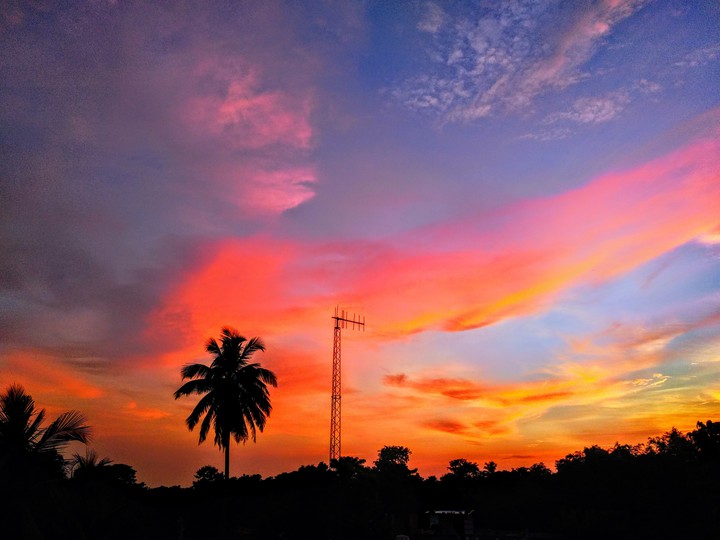 Sunset pink sky