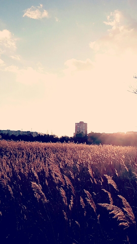 tapety skyline, sunset