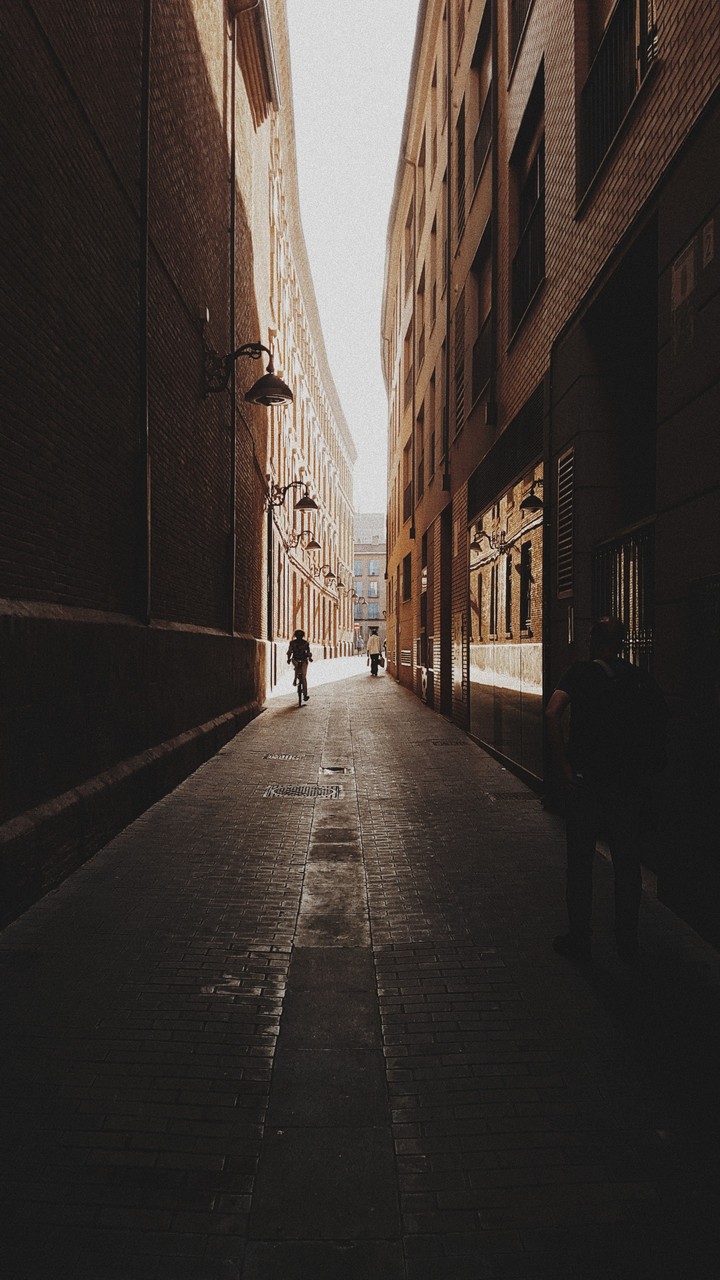 Golden Shadows