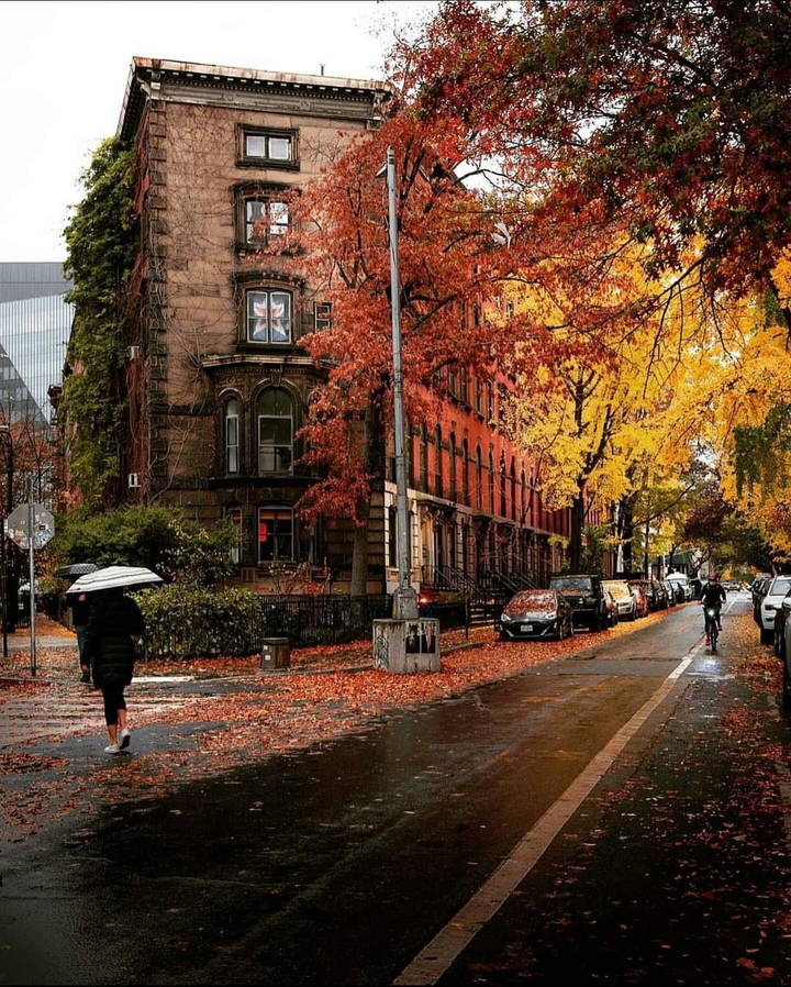 autumn