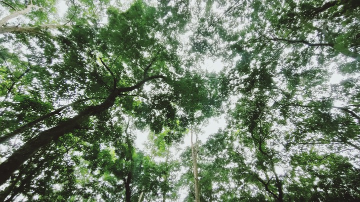 green sky