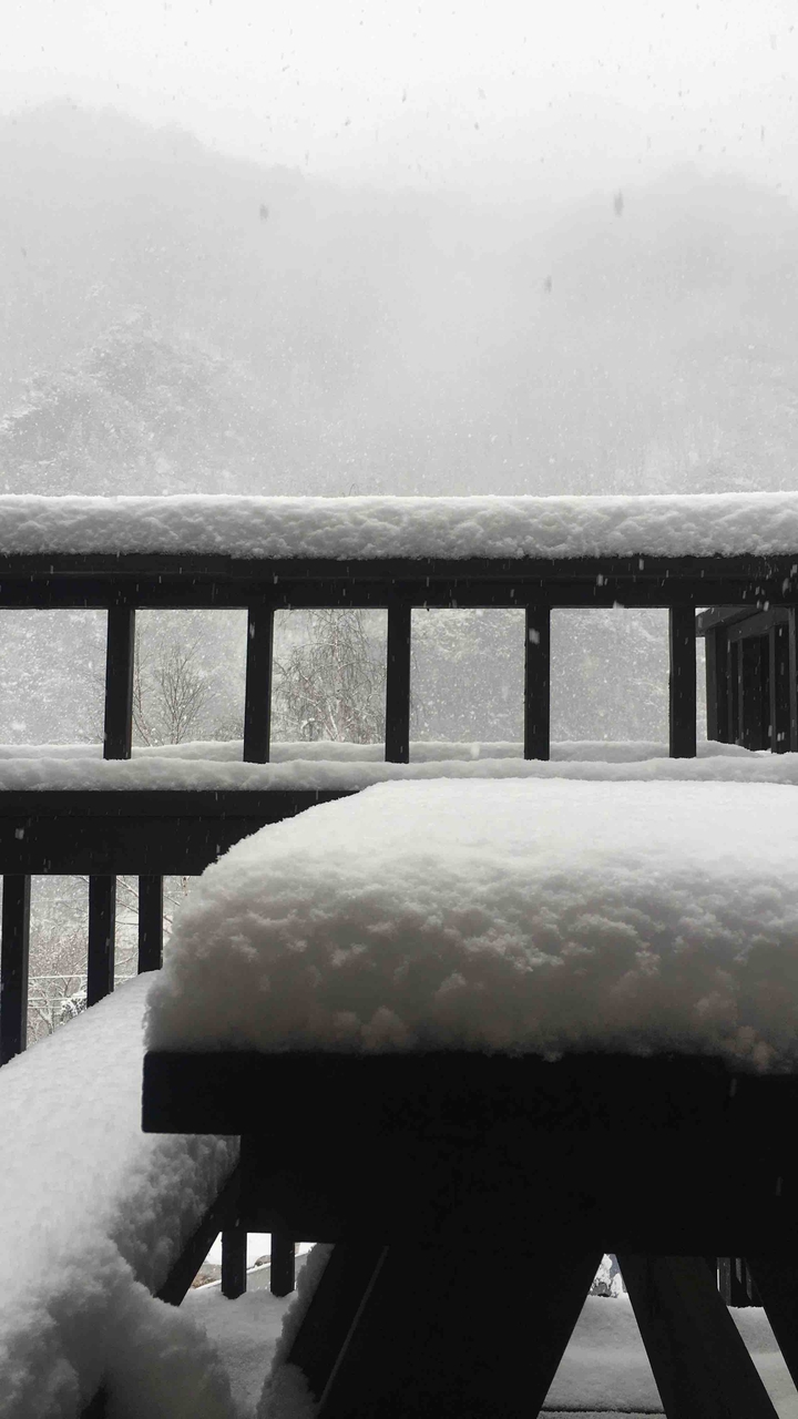 winter