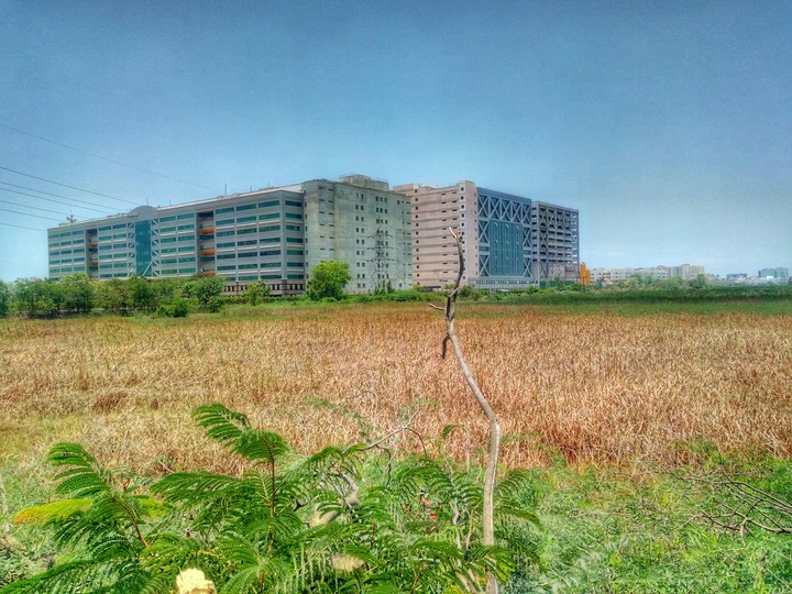 Urbanization