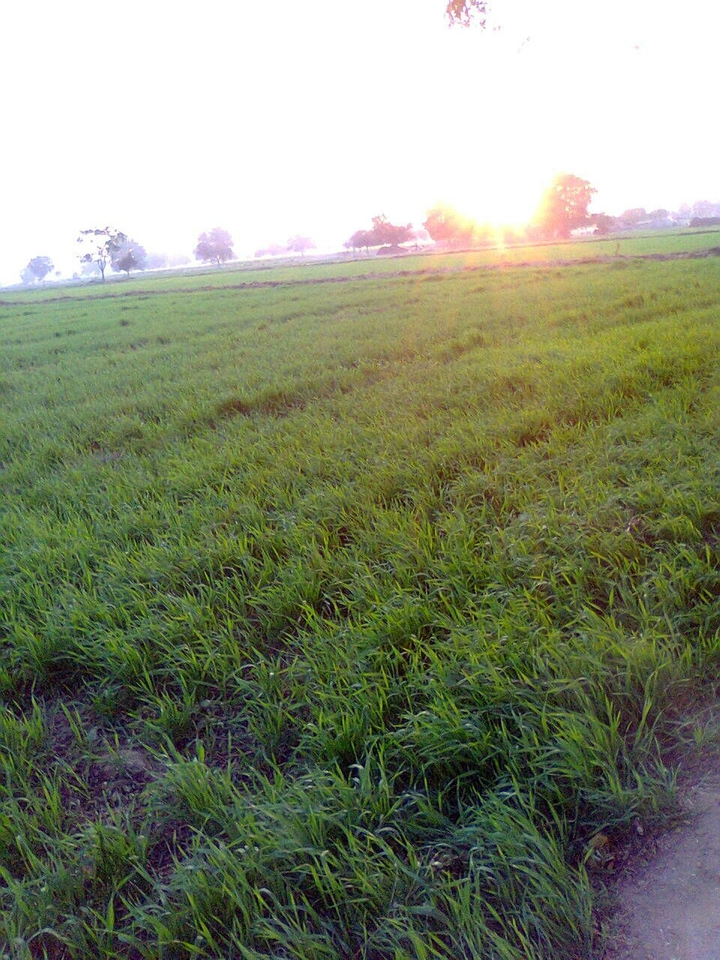 evening