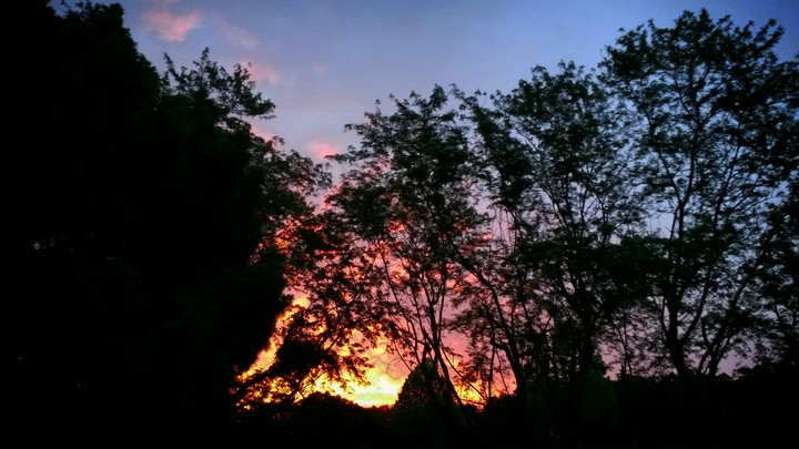 Sunrise by LizBensley