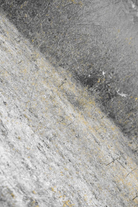 Dry Nature.....
