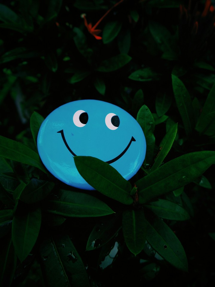smile