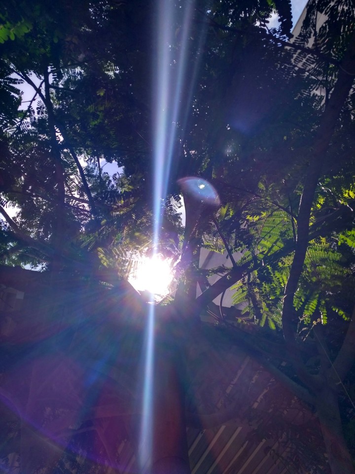 Shining bright