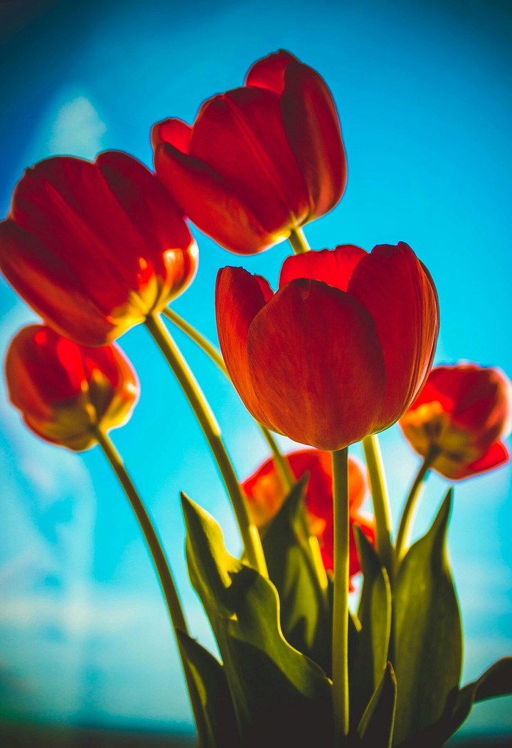 Spring