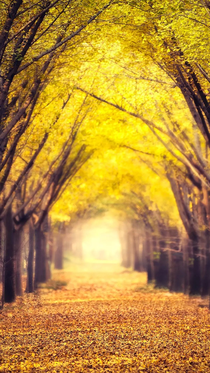 #scenery