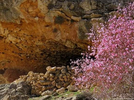 cherry in the caves