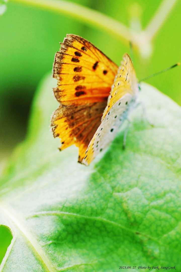 .