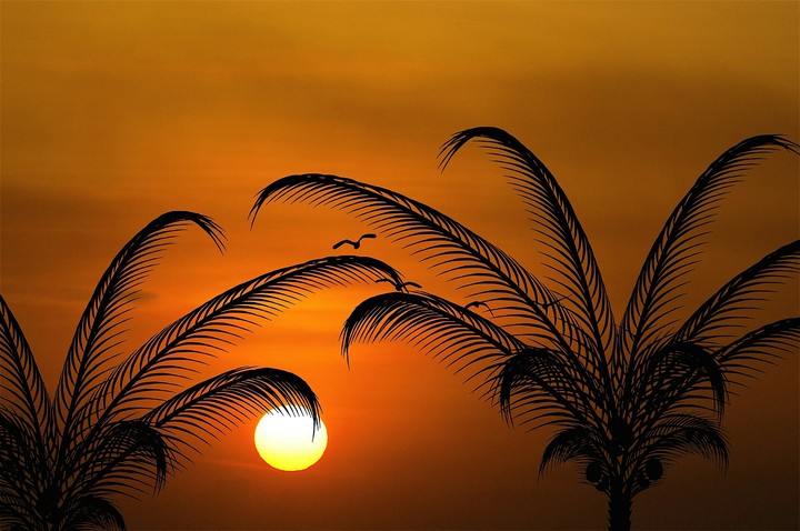 amazing sunset