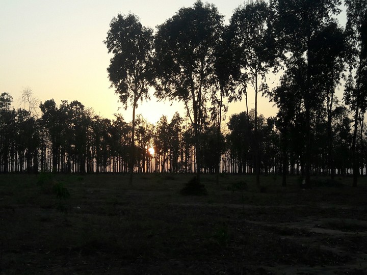 evening