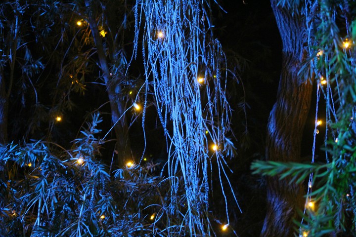 night light
