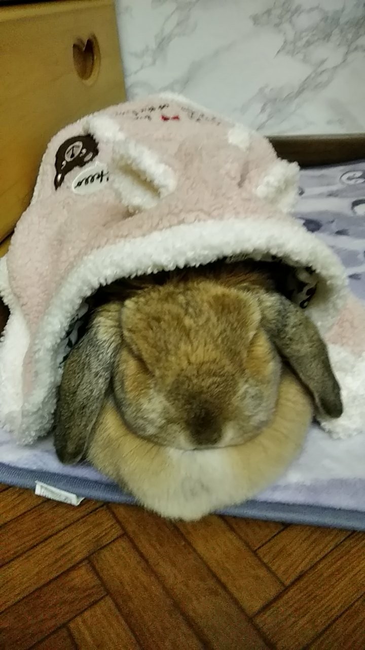 ??寝てる?