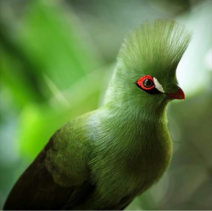 beautiful 