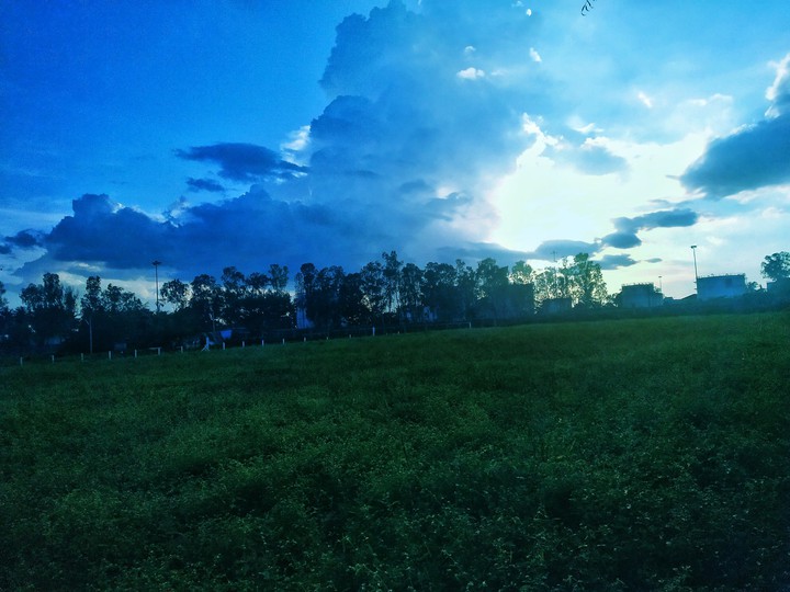 farm