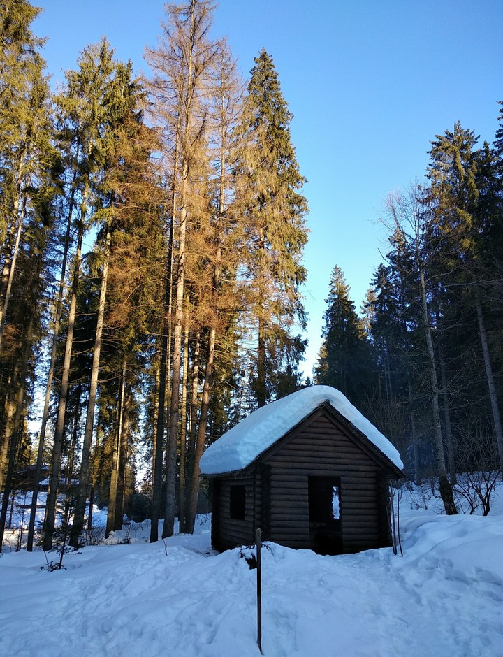a log house in the mountains