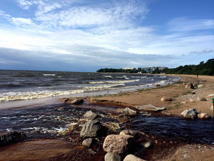 Сестрорецк, Санкт-Петербург