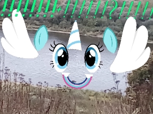 река-пони