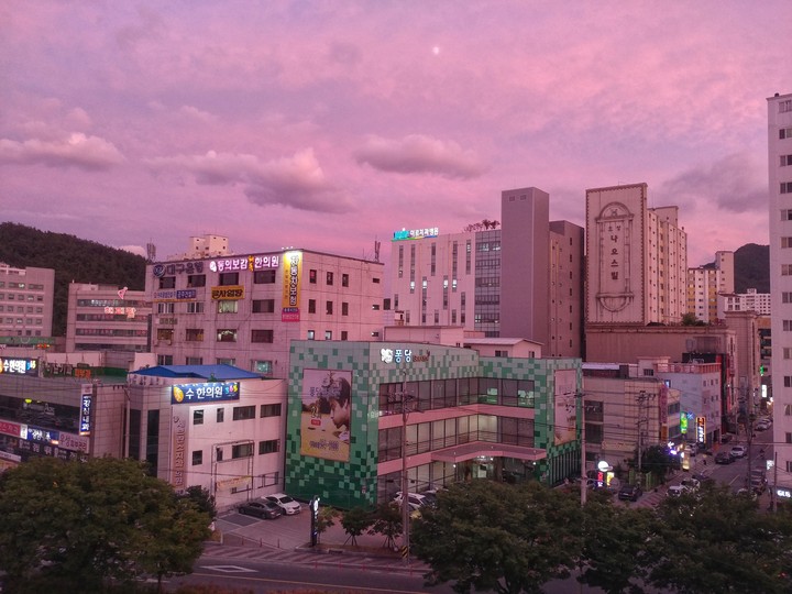Violet city