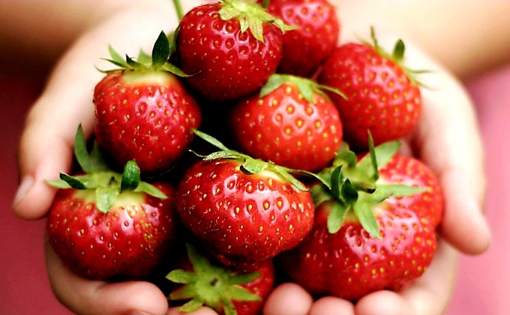 Erdbeeren in der Hand