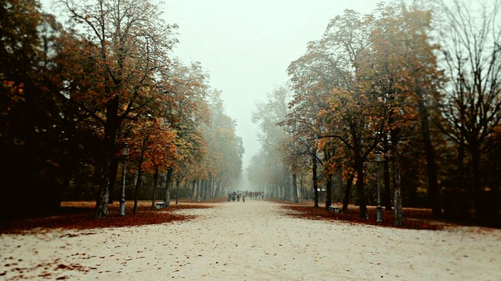 Autumn